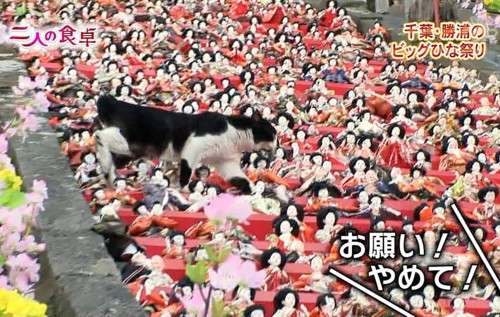 いろいろなひなまつりの画像がみたい