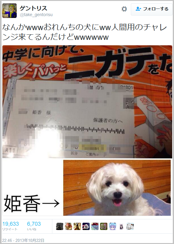 迷惑な投函物ありますか？