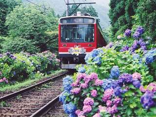 箱根のおすすめ