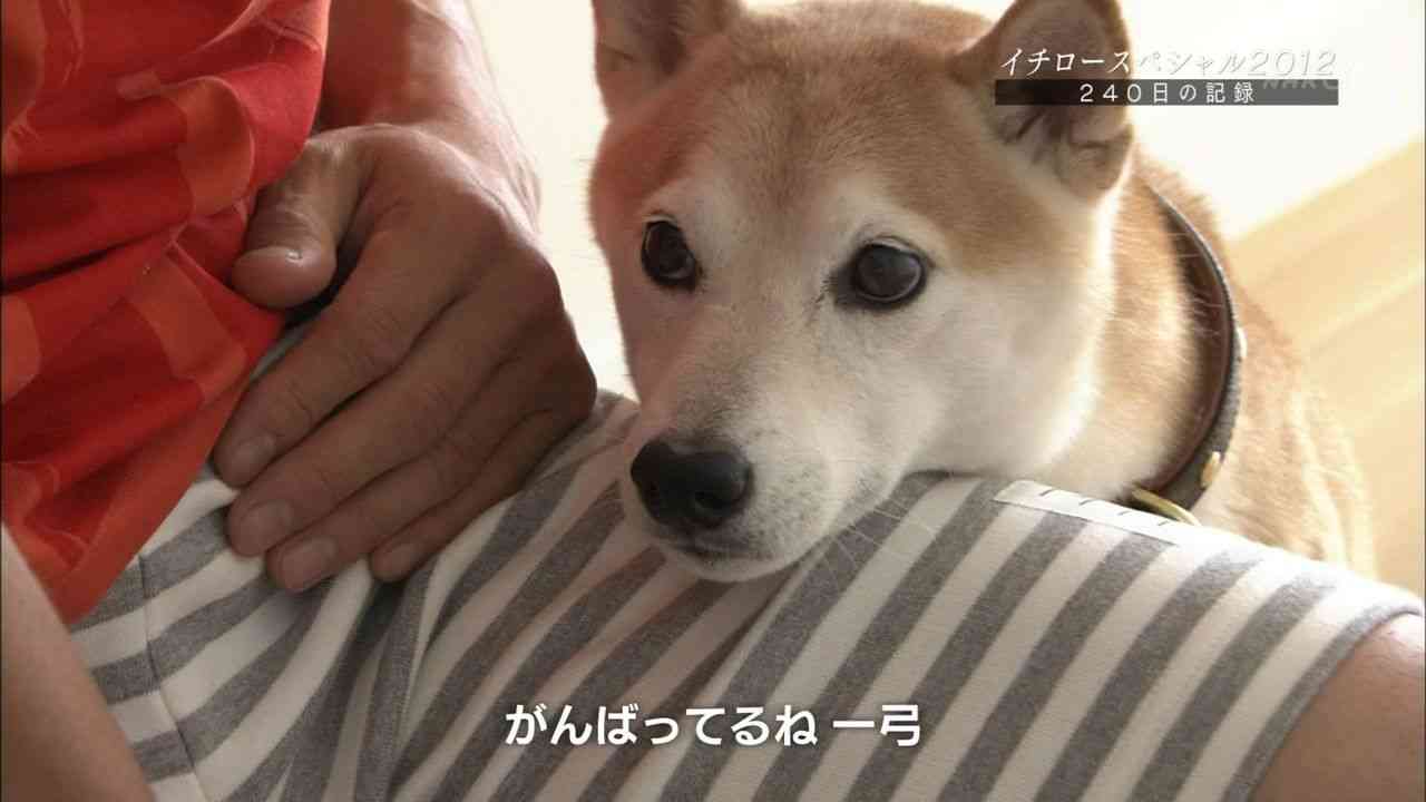 イチロー 画像集