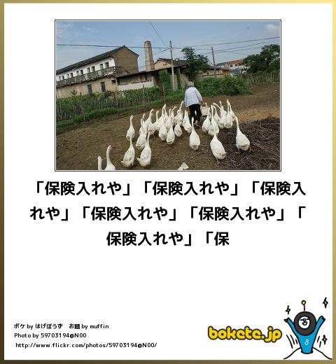 つい笑ってしまった出来事を教えてください