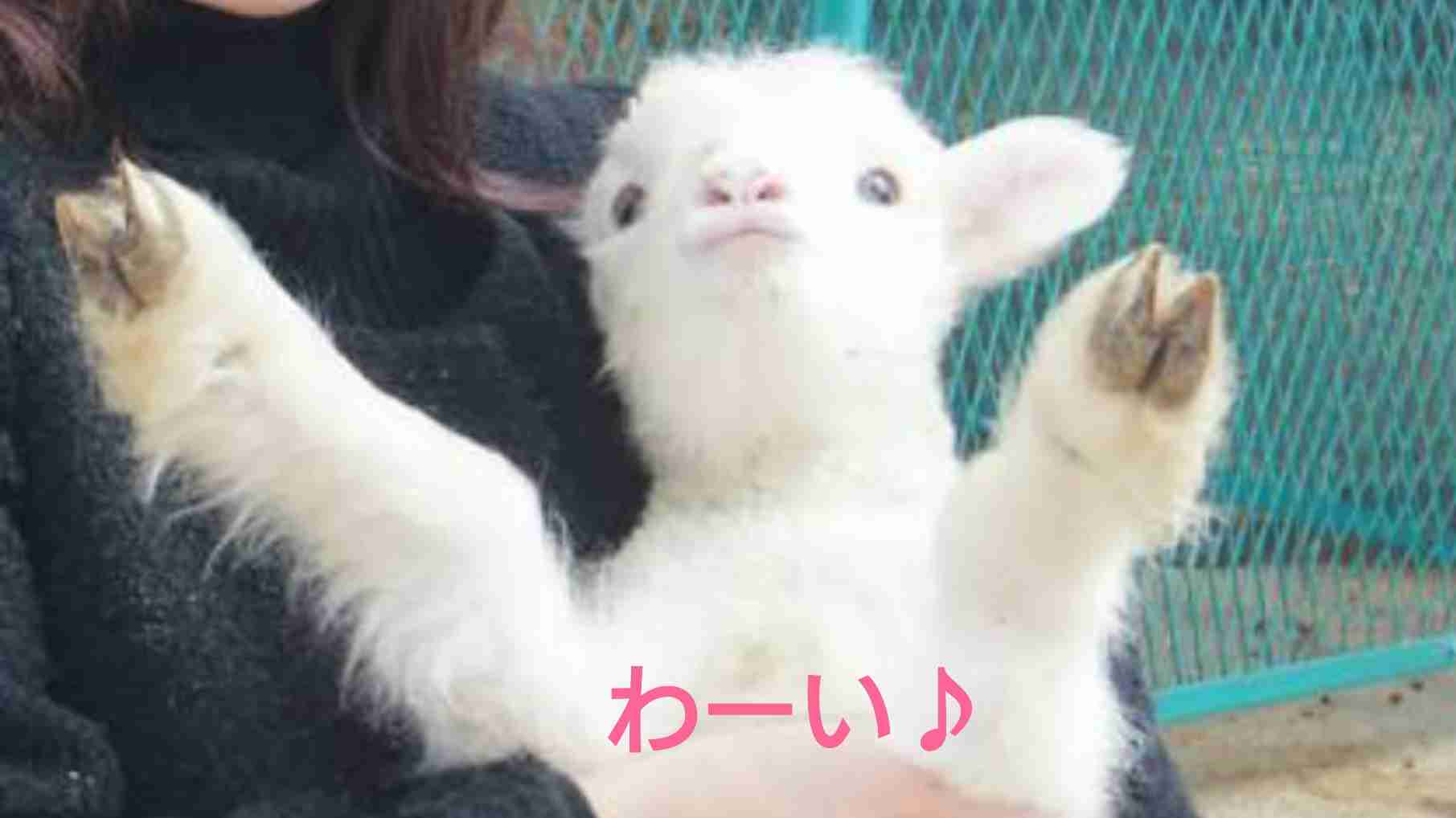 職場でのちょっとした役得。少しのお得感♪ありますか？