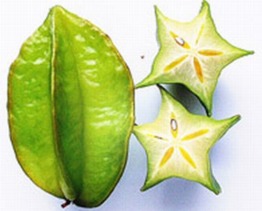 食べ物の断面に萌えるトピ