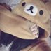 めんへらTiKuBi.ちゃん on Twitter: "しらたまちゃん(♀)がやりました！
しらたまちゃんは我が家のお姫様なので、他にお姫様がいたのが気に食わなかったのでしょうか…。お雛様だけ集中攻撃されてる…ちなみにこのお雛様は首もげてる…
お前…これどないすんねん…お母さん帰って来たら発狂しそう…どないすんねん！ https://t.co/TNpvGb3ud6"