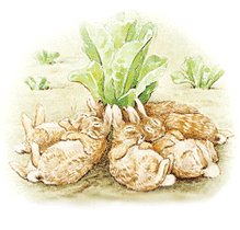 著名人たちが、幸福の科学大川隆法の『霊言』に『苦言』！ 肖像のパブリシティ権侵害