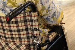 「介護士は家政婦じゃない！」高齢者だけでなくペットや孫の世話も