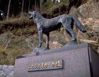 日本の野生動物の画像を貼るトピ