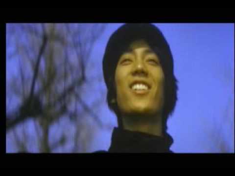 ザ・タイガース 落葉の物語 - YouTube