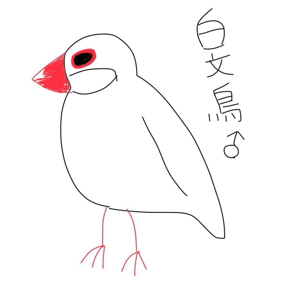 ペットの似顔絵を描くトピ