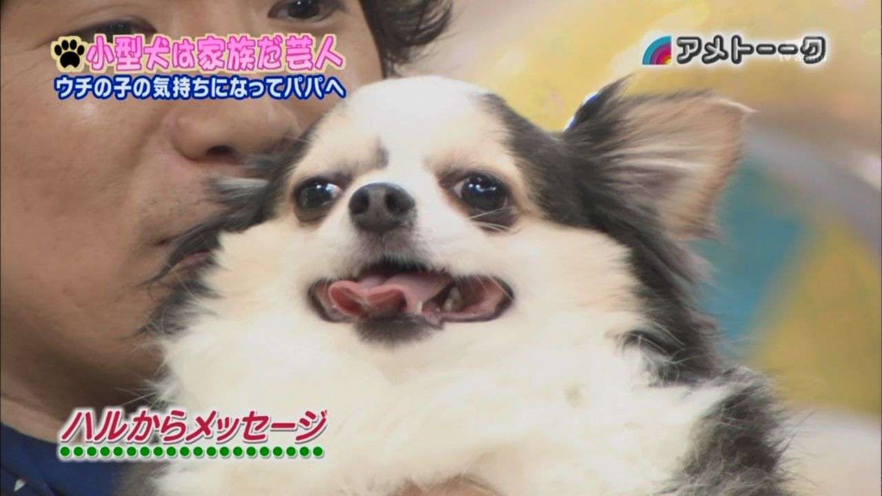 【FRIDAY】ついに離婚へ　小倉優子の不倫夫がキャバクラで逆ギレ大暴言