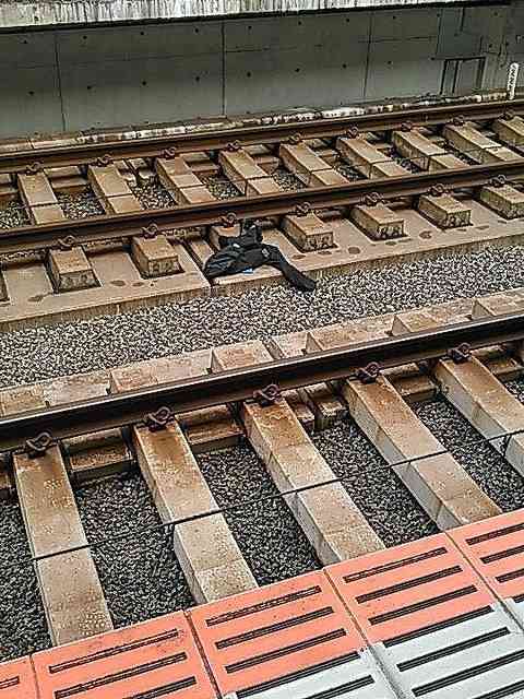 クレームで飛び降りた近鉄車掌への嘆願書 5万件を超える - ライブドアニュース