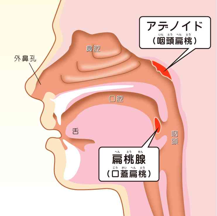横顔に自信がない人