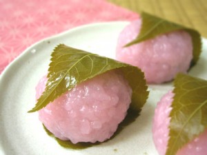日本各地、様々な種類の桜の画像で癒されるトピ♪