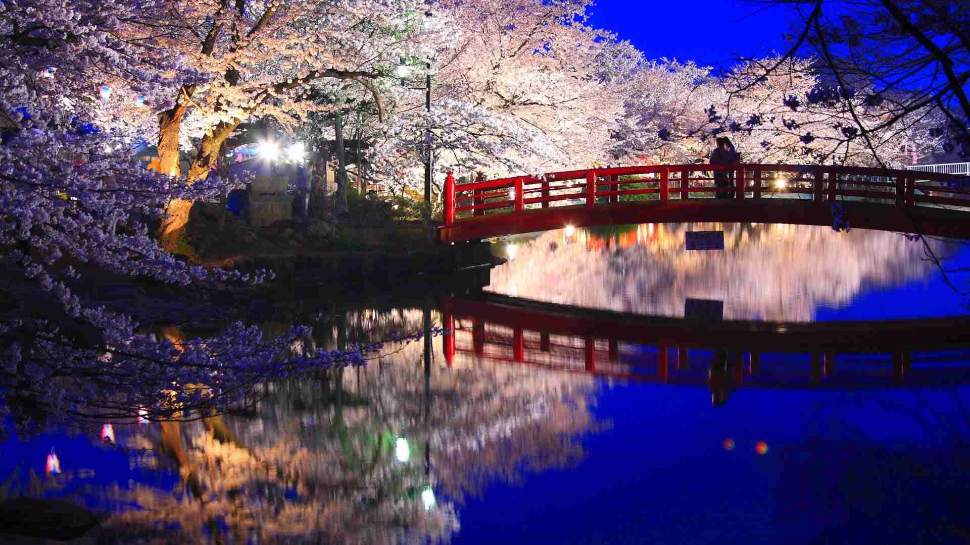生まれてきて良かった理由教えて下さい