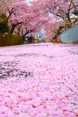 日本の美しい風景の画像を貼るトピ