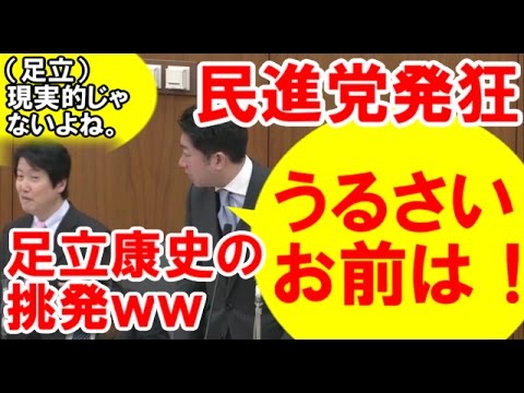 足立康史！民進党が国会で発狂「うるさい、バカ」。岸田大臣がニヤニヤ笑い「韓国とは・・」。官僚が文書を廃棄する理由は、お前らのせい！2,017年3月17日衆議院外務委員会。 - YouTube