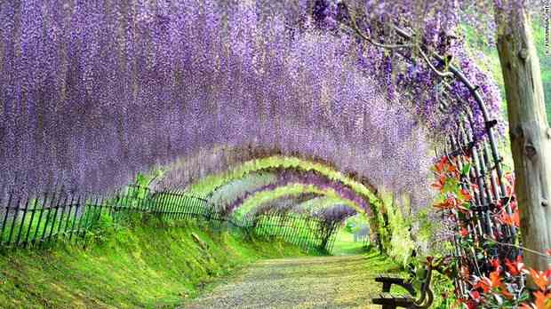 日本の美しい風景の画像を貼るトピ