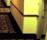 お気に入りのGIF画像を貼っていくトピ