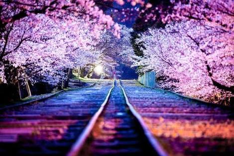 日本の美しい風景の画像を貼るトピ