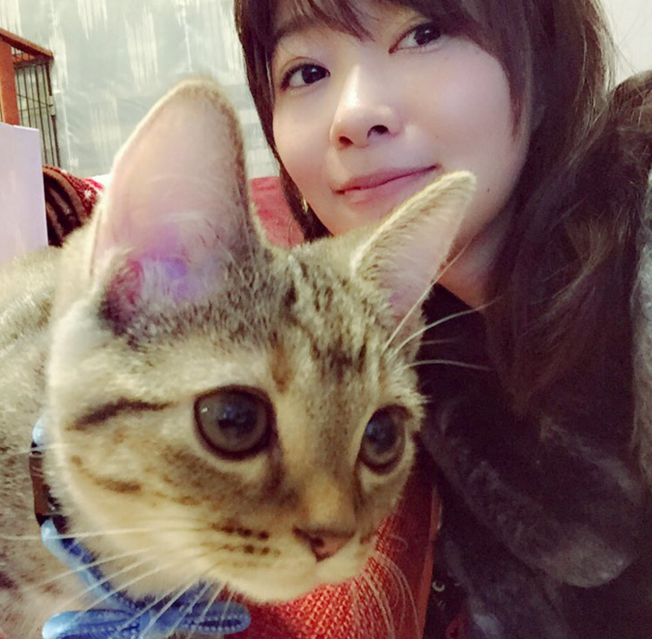 最近好感度が上がった芸能人