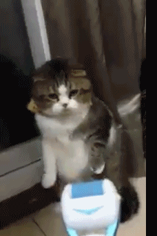 お気に入りのGIF画像を貼っていくトピ