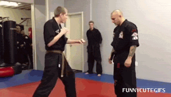 お気に入りのGIF画像を貼っていくトピ