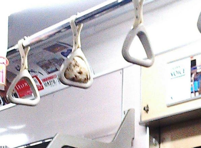 街で見かけた変なもの