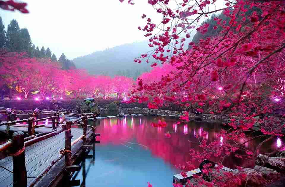 日本の美しい風景の画像を貼るトピ