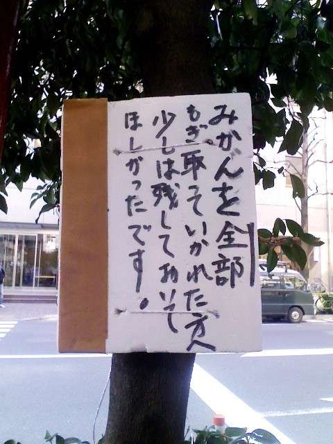 心細い・寂しい・どん底系の画像下さい