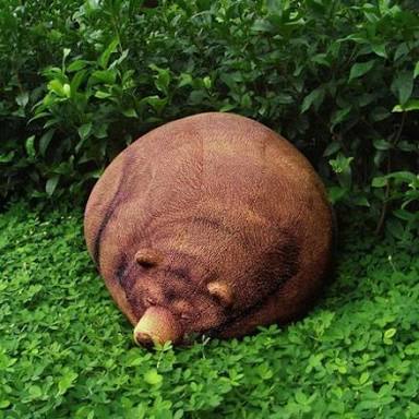 本物そっくりや見間違える商品の画像を集めよう！
