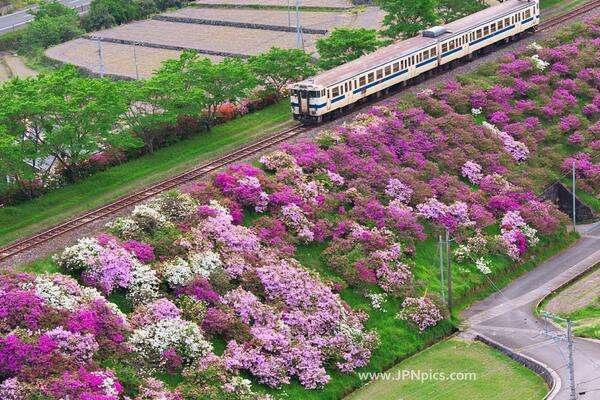 日本の美しい風景の画像を貼るトピ