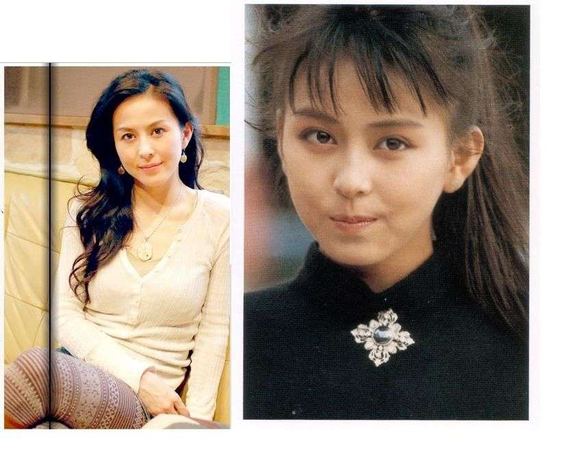 整形成功したと思う芸能人
