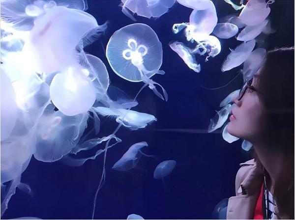 大島優子、クラゲに見入るめがね姿が幻想的 峯岸みなみと水族館デート