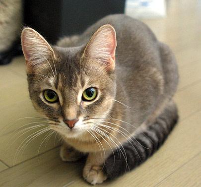 【実況・感想】月曜から夜ふかし　日本の大大大問題！春の全国一斉SP