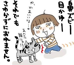 猫アレルギーについて