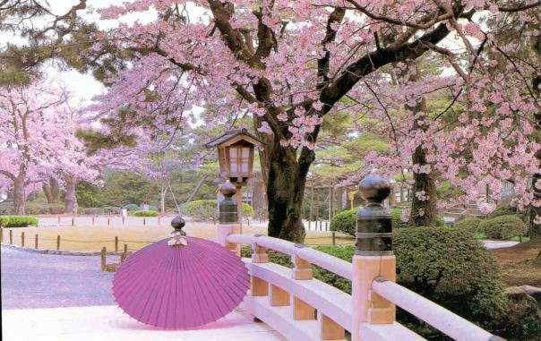 日本の美しい風景の画像を貼るトピ