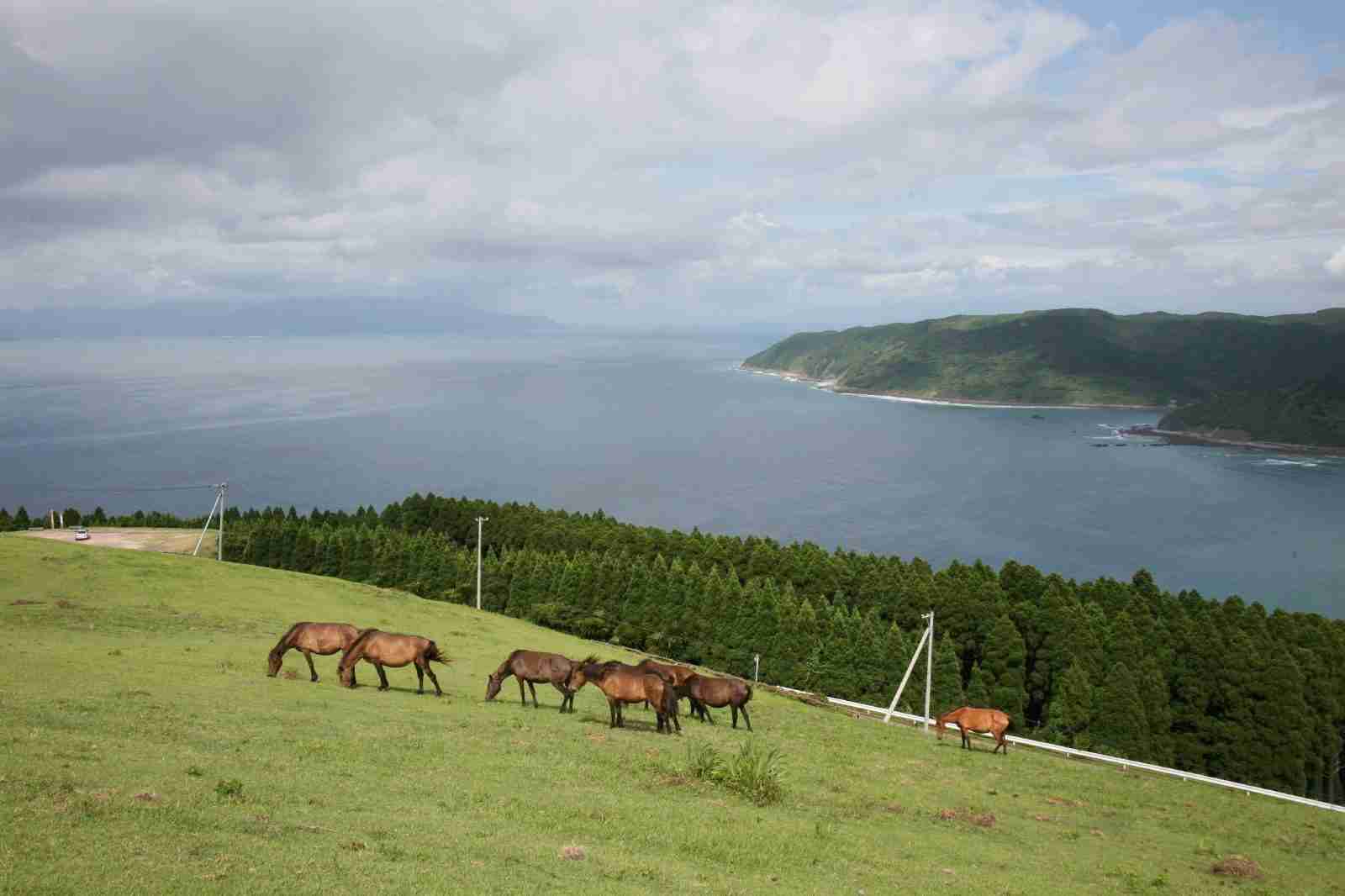 日本の美しい風景の画像を貼るトピ