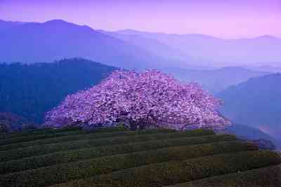 日本の美しい風景の画像を貼るトピ