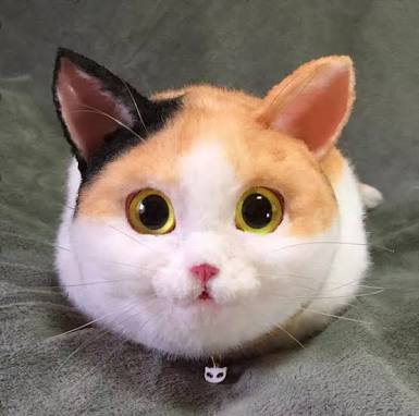 本物そっくりや見間違える商品の画像を集めよう！