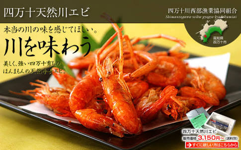 高知県について！！