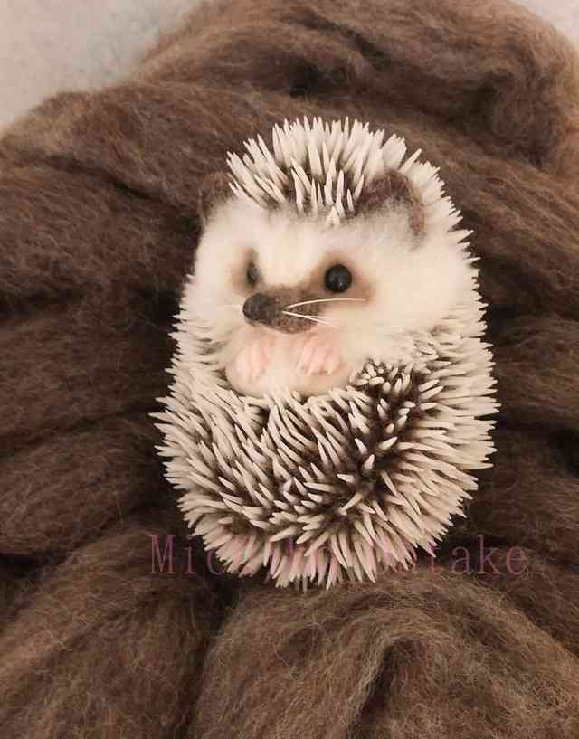 現在好きな動物ランキング1位の動物