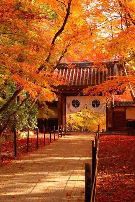 日本の美しい風景の画像を貼るトピ