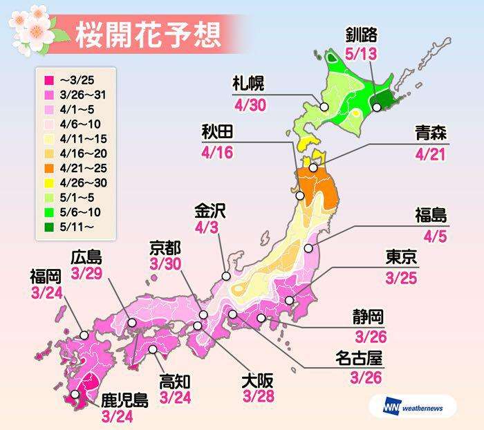 来週末は東京や福岡で桜が開花！上野恩賜公園は26日の予想