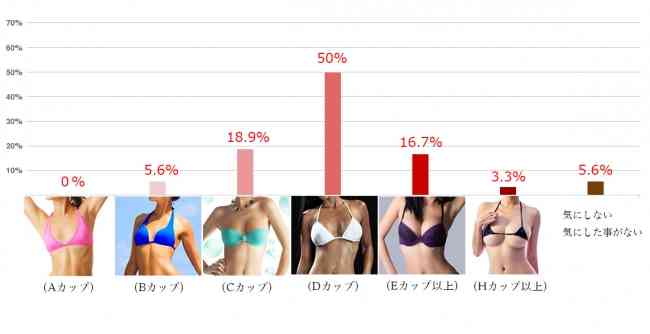 【貧乳悲報】男性に「理想の女性の胸の大きさ」を聞いた結果……なんとAカップはゼロ！ もう一度言う、Aカップはゼロだ！ | Pouch［ポーチ］