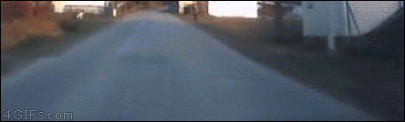 お気に入りのGIF画像を貼っていくトピ