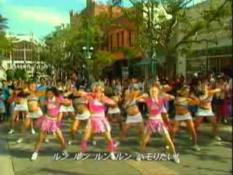 Pecori Night - YouTube