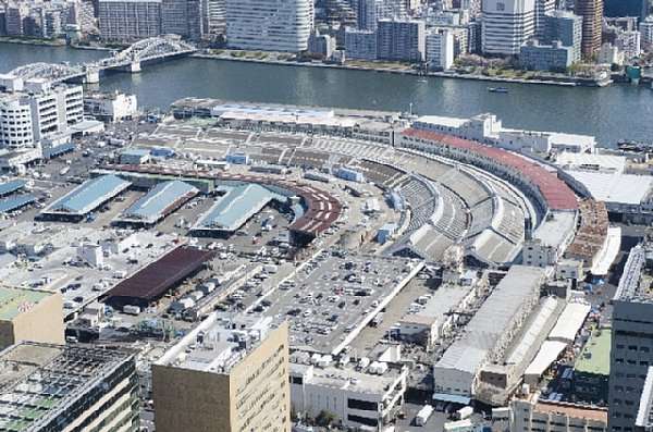 築地市場の水槽水から基準値超えのトリハロメタン 豊洲の地下水より問題か - ライブドアニュース