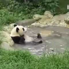 お気に入りのGIF画像を貼っていくトピ