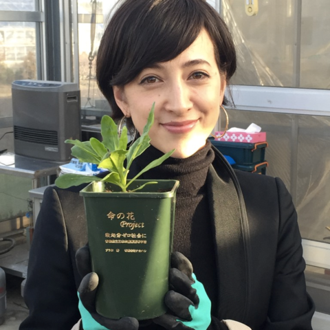 滝の画像で目の保養をするトピ♪