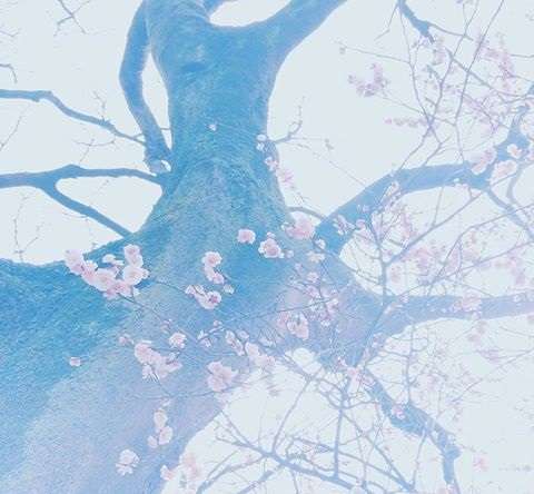 好きな小説の一文